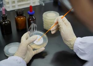 Microbiological Laboratory Testing For Maternal And Infant Products
