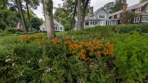 Pollinator garden located on Lake Geneva, which includes a diverse mix of flowering, ornamental, and functional species. Native plants are not only beautiful, but they support local wildlife, require less maintenance, and are more resilient to pests/disea