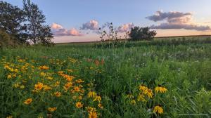 By leveraging our vast expertise in ecology, our team can help you achieve goals while protecting and enhancing the natural environment at the same time.