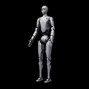 H2 Plus Robot