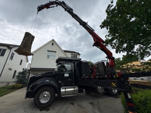 CHOP Nashville removing a tree in a Nashville neighborhood