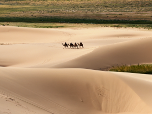 Gobi desert