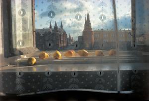 Sam Abell, Pears, Moscow, 1983, a still-life photograph of pears arranged on a table in Moscow.