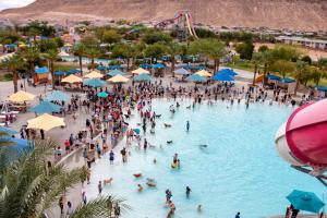 Guinness World Record Broken For Most Dogs At a Dog Pool Party