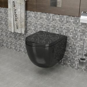 Kadelg Rimless Toilet Product Detail