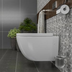Kadelg Rimless Toilet