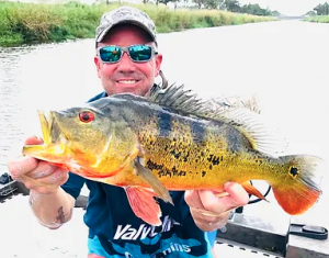 Lake Ida Peacock Bass