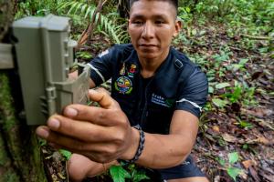 AI camera trap biodiversity monitoring