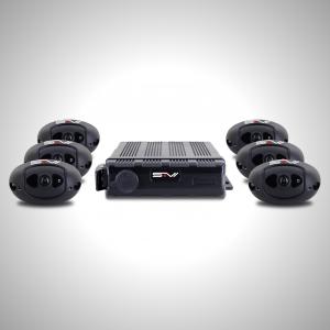 360-degree Around-View Monitoring System (AVM)