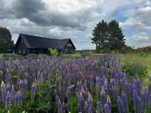 Træhuse Nordsjælland – Energieffektivt træhus med moderne design