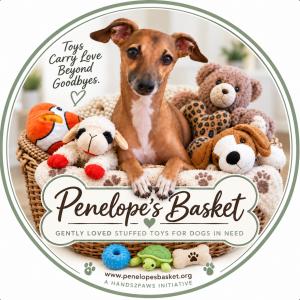 A basket of gently loved stuffed dog toys that belonged to Penelope, an Italian Greyhound, inspiring the Penelope's Basket toy donation program for shelter dogs.