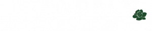 Magnolia Aviation Logo