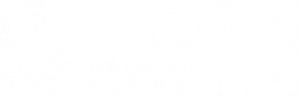 Volair Aviation Logo
