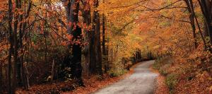 Colors of the Fall (Photo Credit: Bill Madden)
