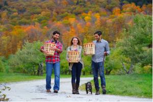 Bartlett's Apple Orchard (Photo credit: Ogden Gigli)