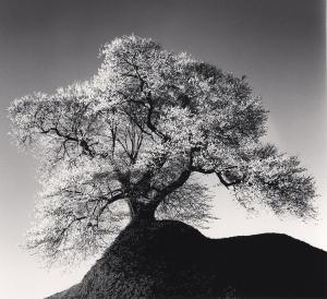 MICHAEL KENNA - KOSTUIK GALLERY