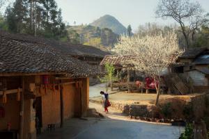 luxus rundreise vietnam kambodscha