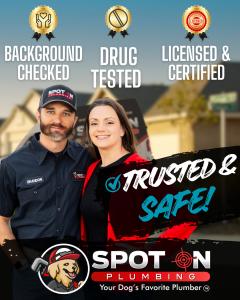 Trusted and Safe