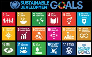 UN 17 SDGs
