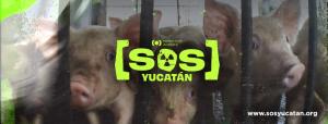 SOS Yucatán