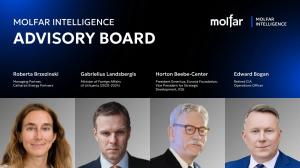 Molfar Intelligence Advisory Board members Roberta Brzezinski, Gabrielius Landsbergis, Horton Beebe-Center and Edward Bogan, with their names and titles