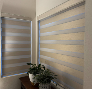 Two corner-mounted textured cream zebra shades with horizontal sheer bands above potted indoor plants.