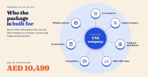 Infographic showing seven business types connected to a UAE company: e-commerce, import and export, trading and distribution, B2B and B2C sales, consultants, accountants and offshore owners