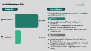candin_global_market_report_Regions_And_Drivers