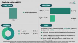 candin_global_market_report