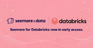 Seemore Data and Databricks logos side by side on a pink background, with the text "Seemore for Databricks: now in early access."