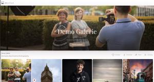 Screenshot of a GalleryDock online client photo gallery
