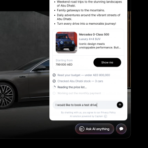 Web chat example - Captain AI