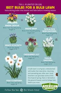 A quick visual guide to early-blooming, fall-planted bulbs—like daffodils, crocus, and grape hyacinths—that are perfect for naturalizing in a bulb lawn. These resilient beauties return year after year, spreading cheerful color with minimal effort.