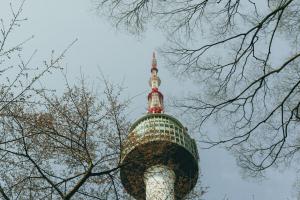 A low-angle view of the iconic N Seoul Tower framed by tree branches against a clear sky, representing South Korea as a premier destination for F-5 investment immigration, secure fund compliance, and permanent residency planning.