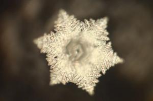 Symmetrical six-pointed water crystal from Tokyo tap water treated with the Aqua Energizer, photographed at the Emoto Lab