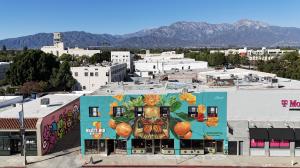 Aerial view of murals in Downtown Ontario