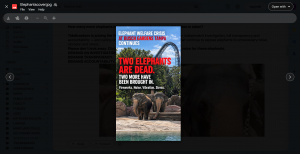 Why did two elephants, Rosie and Carina, die at Busch Garden Tampa Bay?