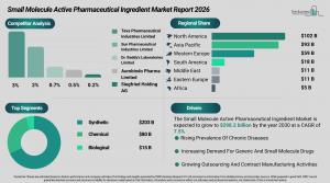 small_molecule_active_pharmaceutical_ingredient_global_market_report_All_Infos.webp
