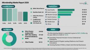 Microlending Market Overview