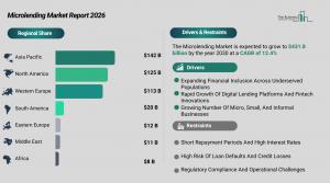 Microlending Market Size and Share