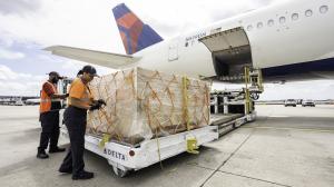 A woman and man loading freight onto a Delta Cargo flight
