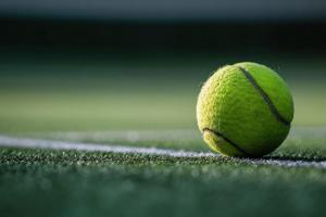 Experts at Wimbledon Debenture Tickets Share Fan Highlights From 2026 Championships
