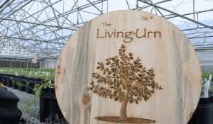 Element by The Living Urn