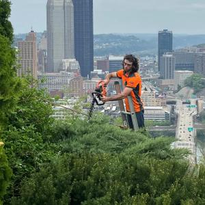 Gabriel Newman - Owner at  Tripoli Tree Care
