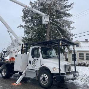 Crane-Assisted Tree Removal in Pittsburgh PA