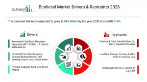Biodiesel Market Report