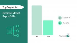 Biodiesel Market Report size