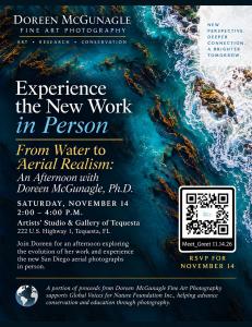 Promotional flyer for Doreen McGunagle’s From Water to Aerial Realism artist Meet & Greet on November 14, 2026, at Artists’ Studio & Gallery of Tequesta. The design features a turquoise aerial coastal photograph with ocean waves, rocky formations, event d