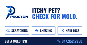 Itchy Pet? Check for Mold.