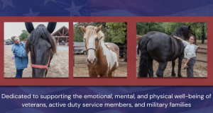 “Equine therapy provides a place for airmen: where trust, calm, and strength meet in a synchronized dance that becomes natural.”